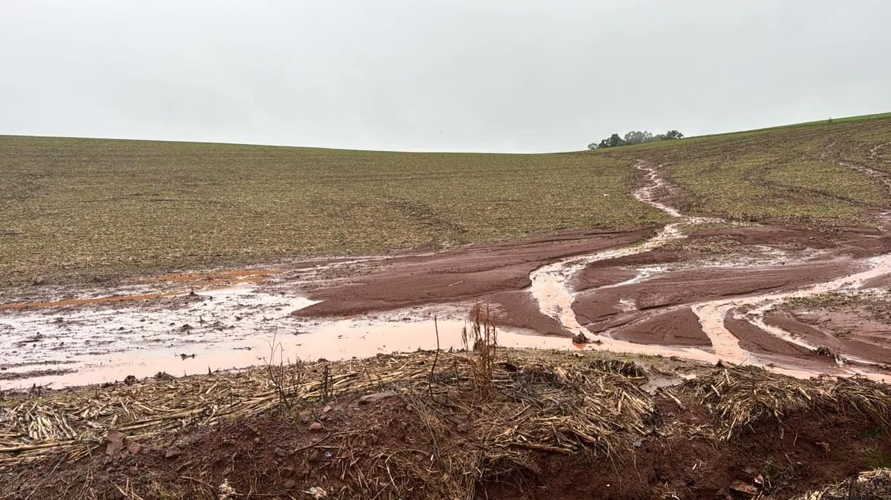 Capa Emater promove seminário sobre capacidade do solo frente às adversidades climáticas em Frederico Westphalen