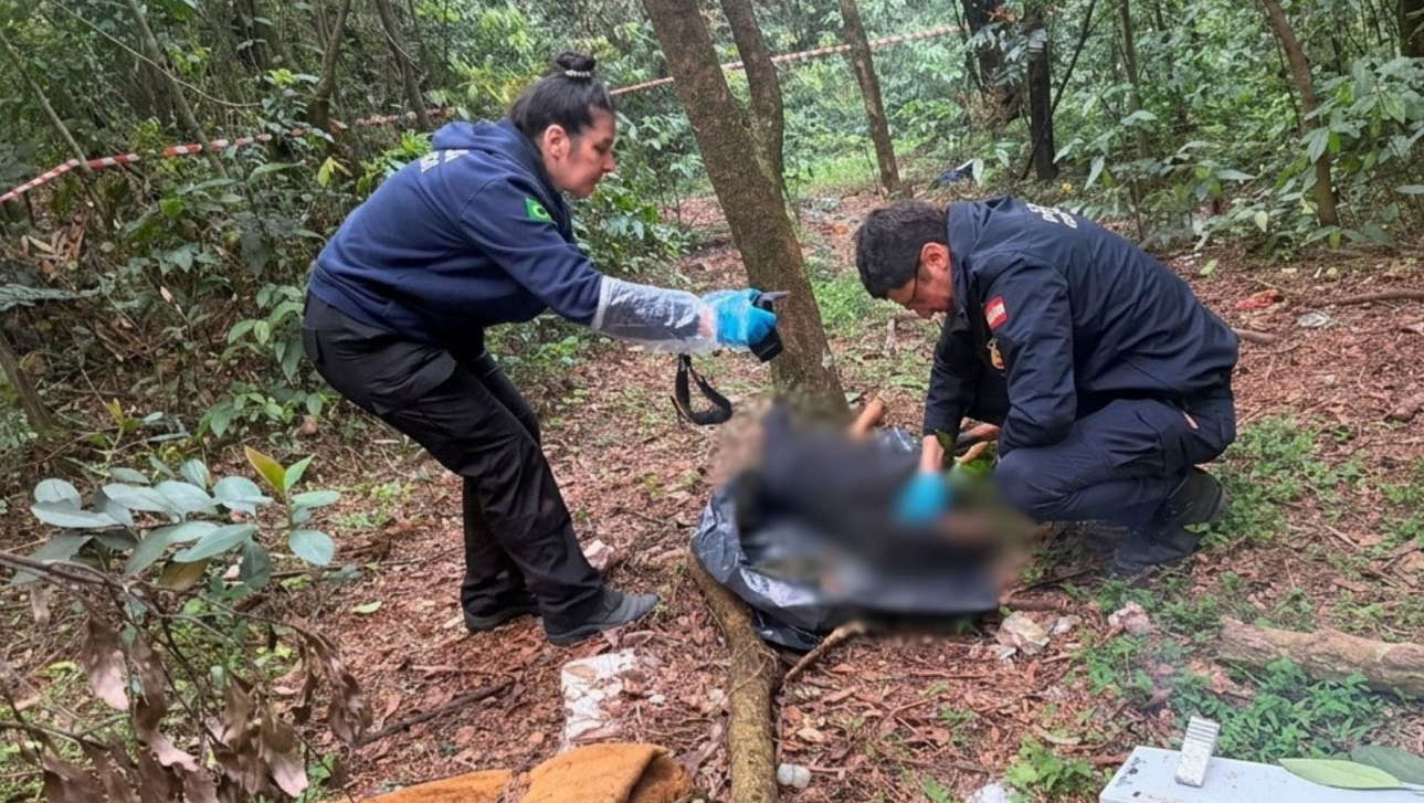 Capa Polícia Civil investiga morte de cadela Rottweiler encontrada em parque no bairro Efapi, em Chapecó