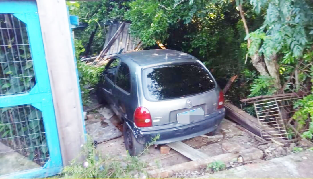 Capa Carro desgovernado invade pátio de residência e mata cães em Santo Ângelo