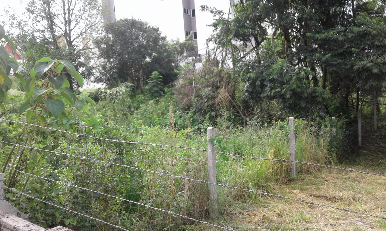 Capa FW: Secretaria do Meio Ambiente pede a colaboração da população para a limpeza de terrenos baldios