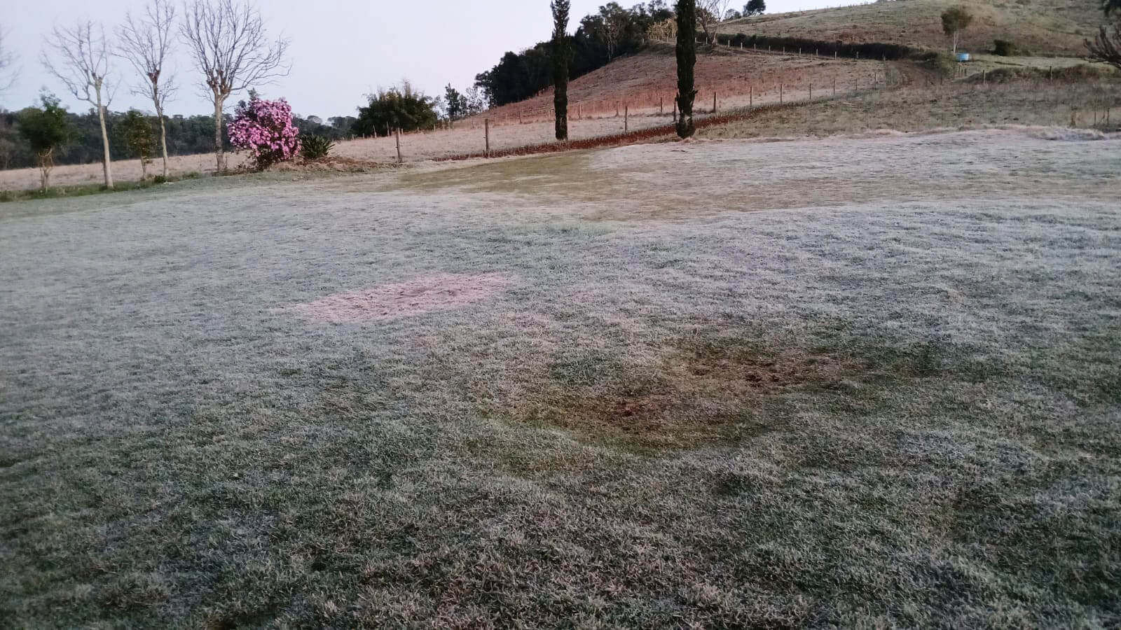 Capa Terça-feira amanhece com frio intenso e geada na região