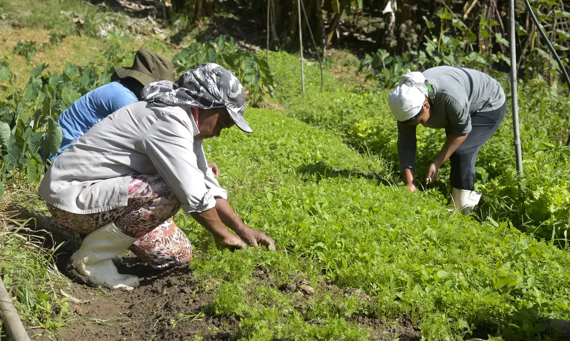 Capa Parceria da Embrapa visa fortalecer ações com mulheres no meio rural