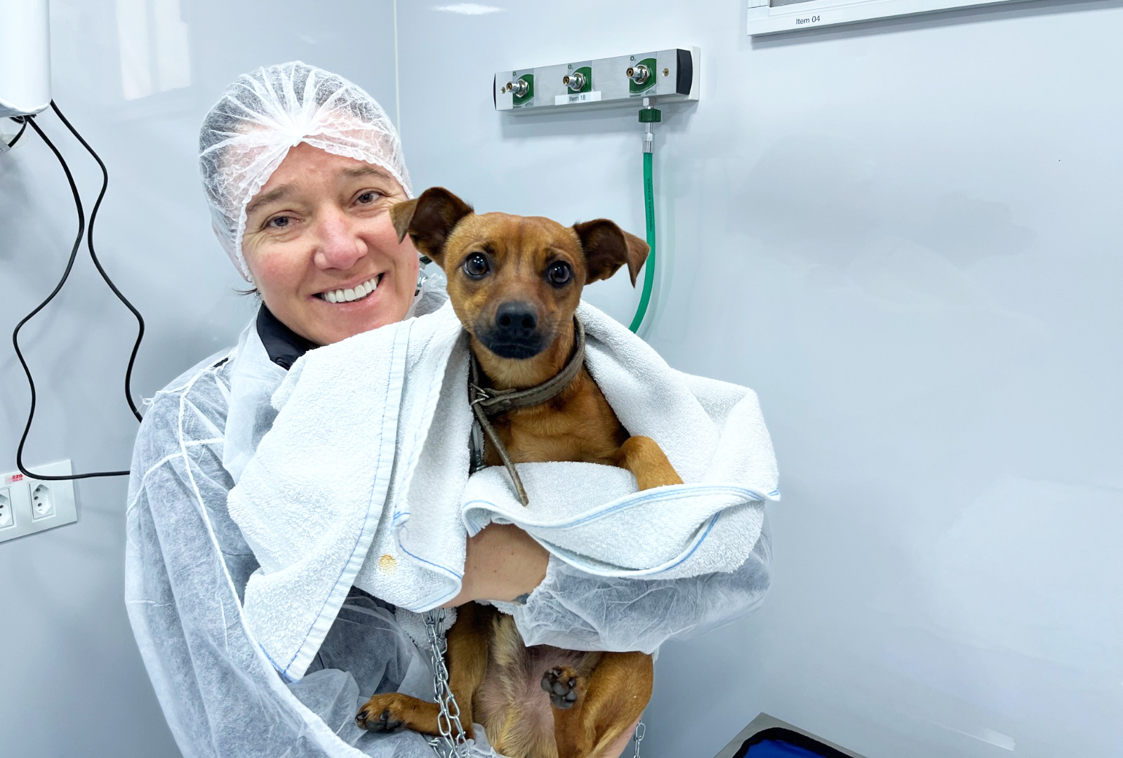 Capa Castramóvel e Consultório Veterinário Municipal iniciam atendimentos em Frederico Westphalen