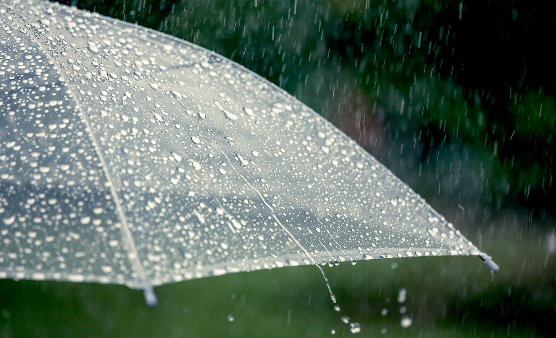 Capa Com previsão de chuva forte nos próximos dias, Defesa Civil pede que gaúchos fiquem atentos a alertas do órgão