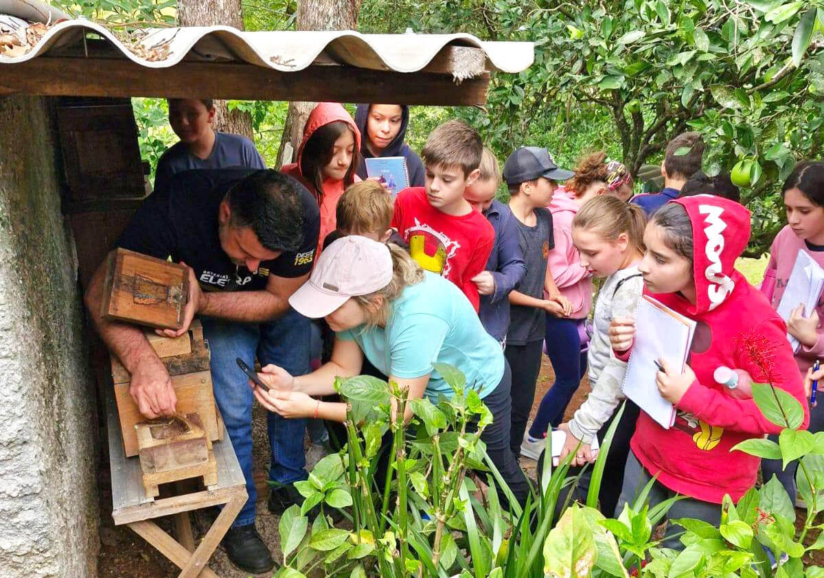 Capa Estudantes de Barra Funda vivenciam aula prática sobre abelhas sem ferrão