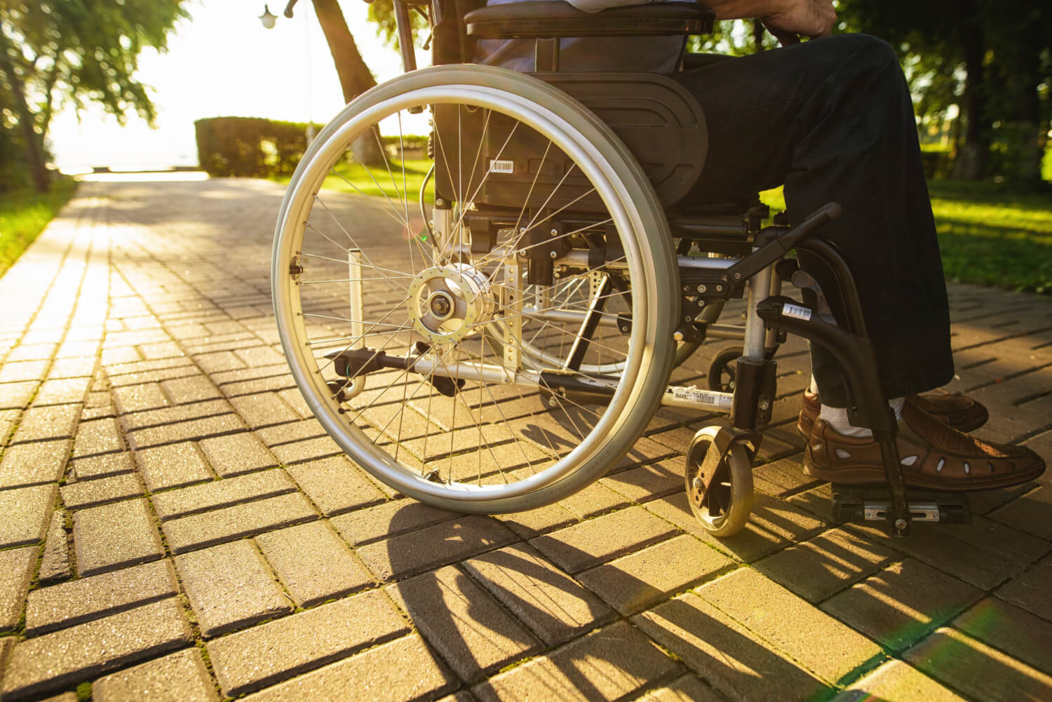 Capa Medicamento brasileiro pode reverter paraplegia e tetraplegia