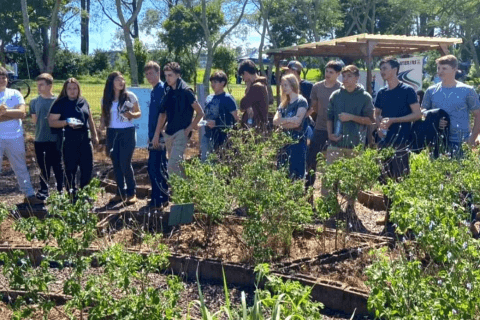 Capa Emater promove o Dia de Campo sobre Plantas Bioativas em Palmeira das Missões