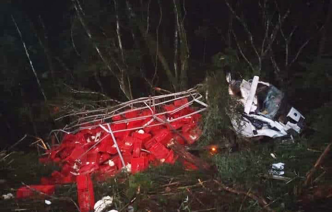 Capa Acidente com caminhão carregado de frangos deixa motorista de Miraguaí ferido