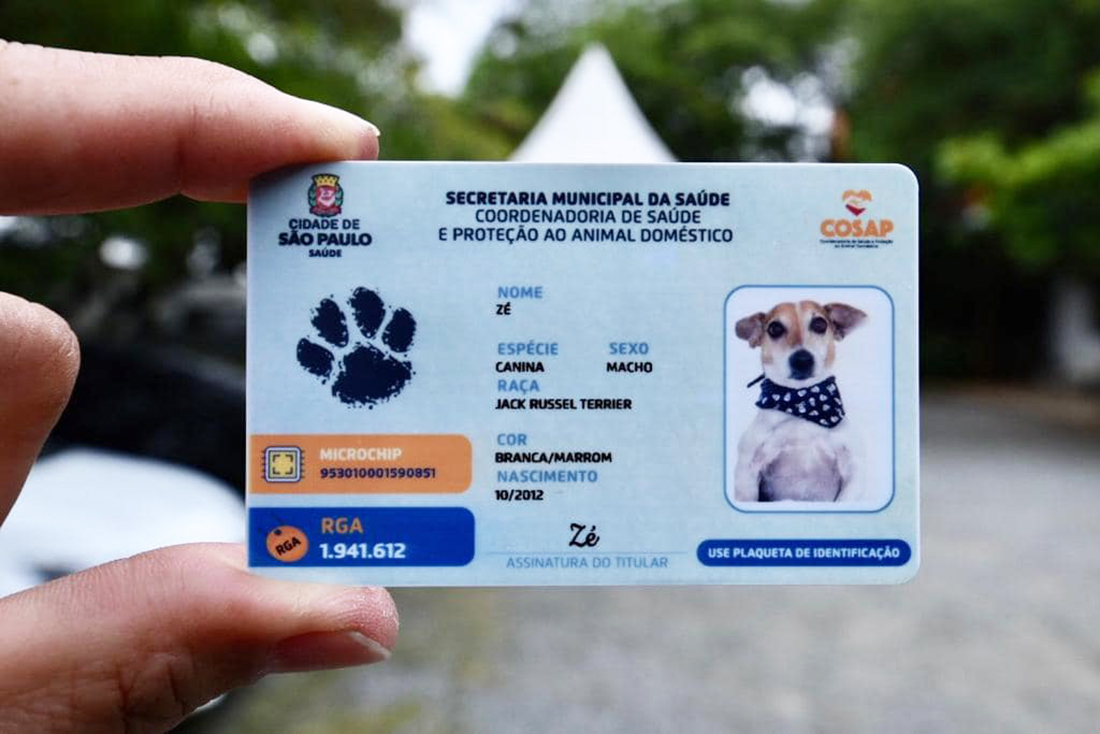 Capa Cães e gatos terão RG Nacional a partir de 2025