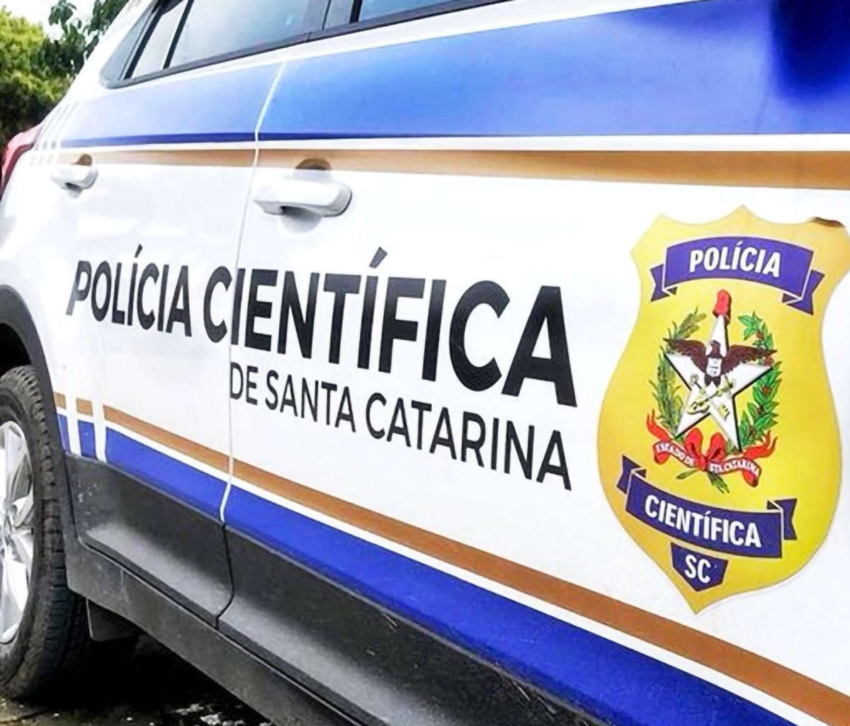 Capa Homem é localizado morto após tentar esfaquear ex-companheira em Águas de Chapecó