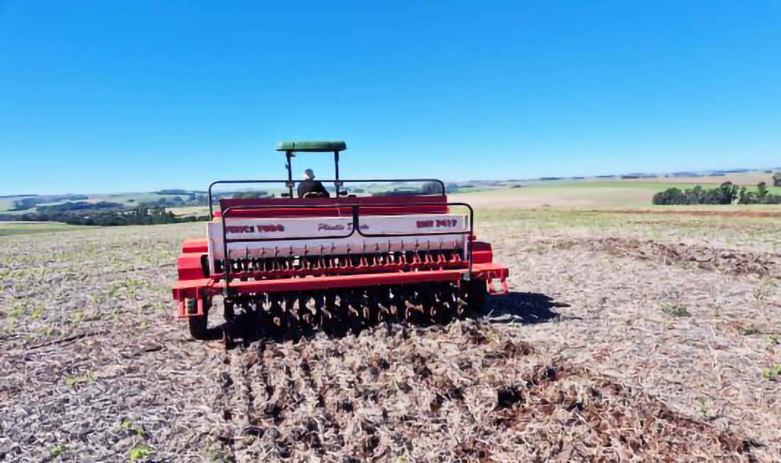 Capa Semeadura das culturas de inverno inicia sob cautela climática e econômica no Rio Grande do Sul