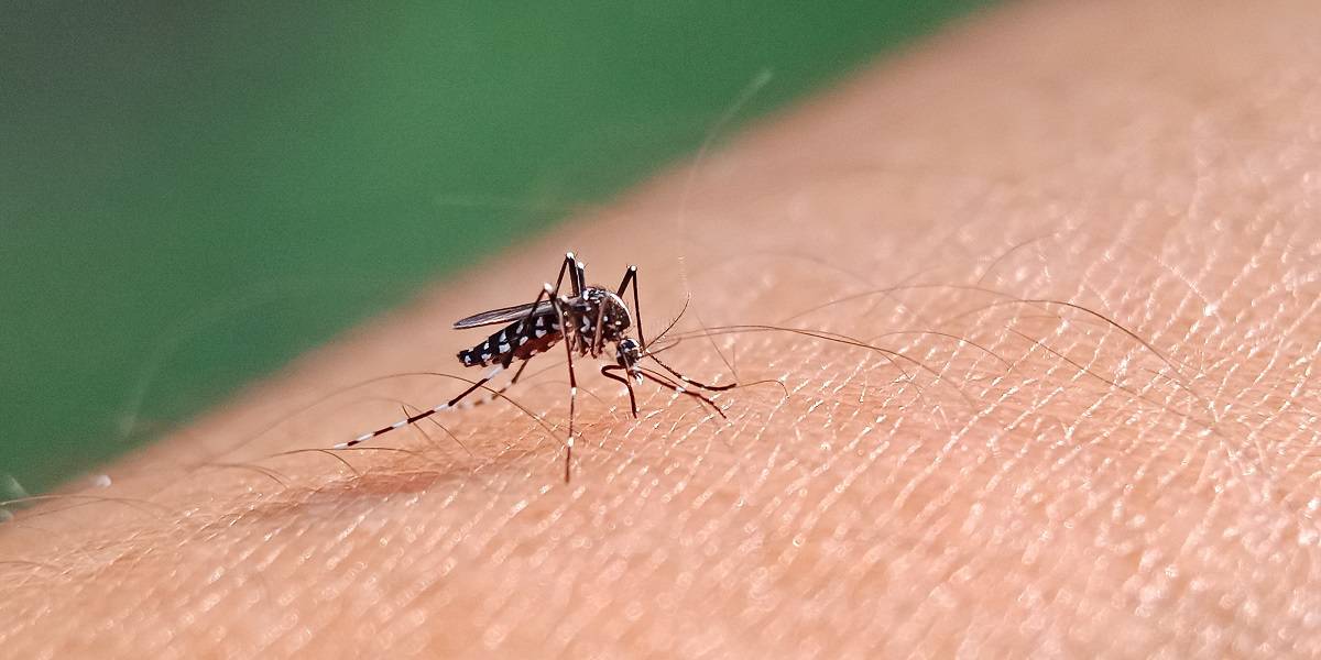 Capa Confirmado o sexto óbito por Dengue em FW