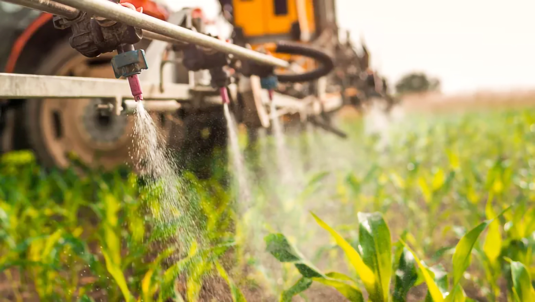 Capa TJRS suspende proibição de herbicida 2,4-D no Rio Grande do Sul
