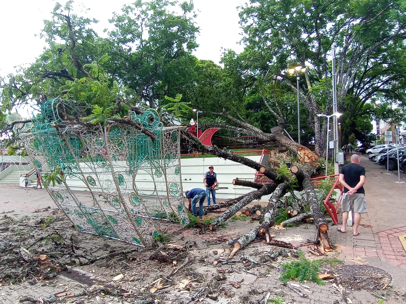 Capa Vento forte derruba árvore na Praça da Matriz em Frederico Westphalen