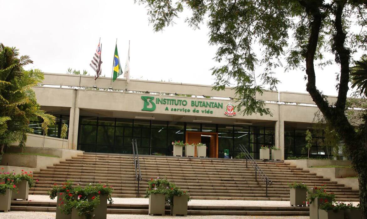 Capa Vacina contra a dengue do Butantan atinge eficácia de 79,6%