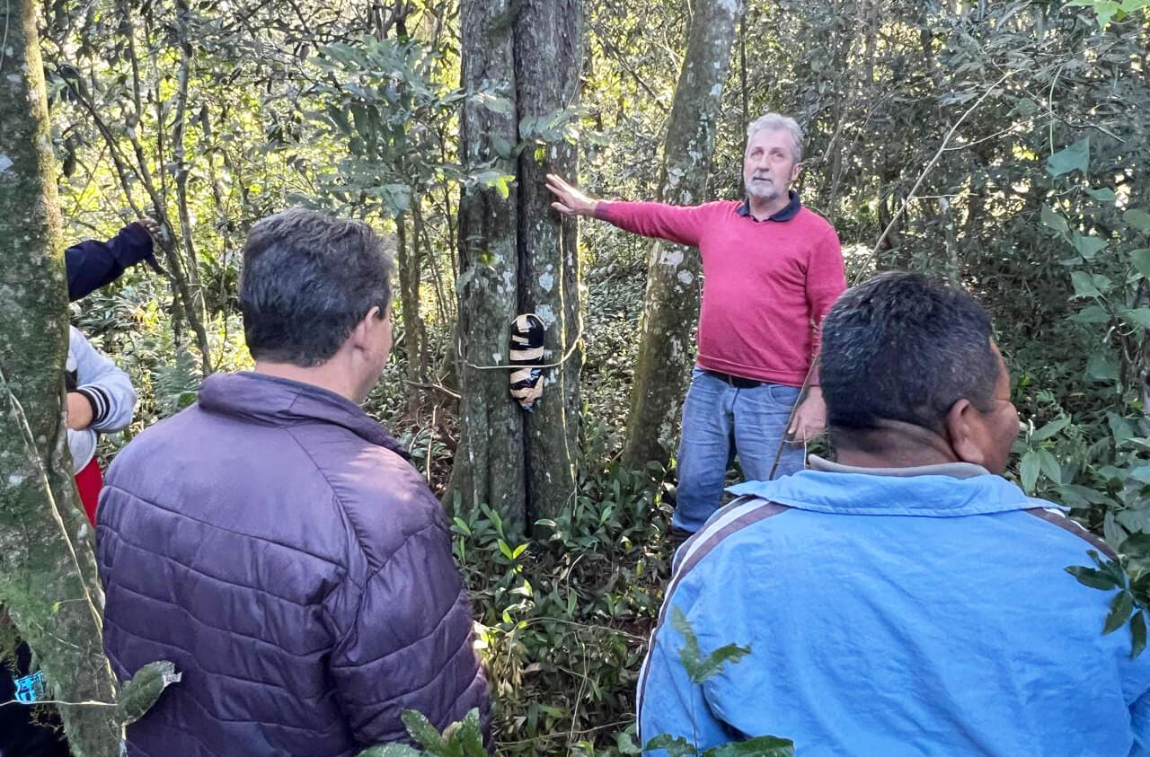 Capa Capacitação em meliponicultura impulsiona renda de famílias no Noroeste gaúcho
