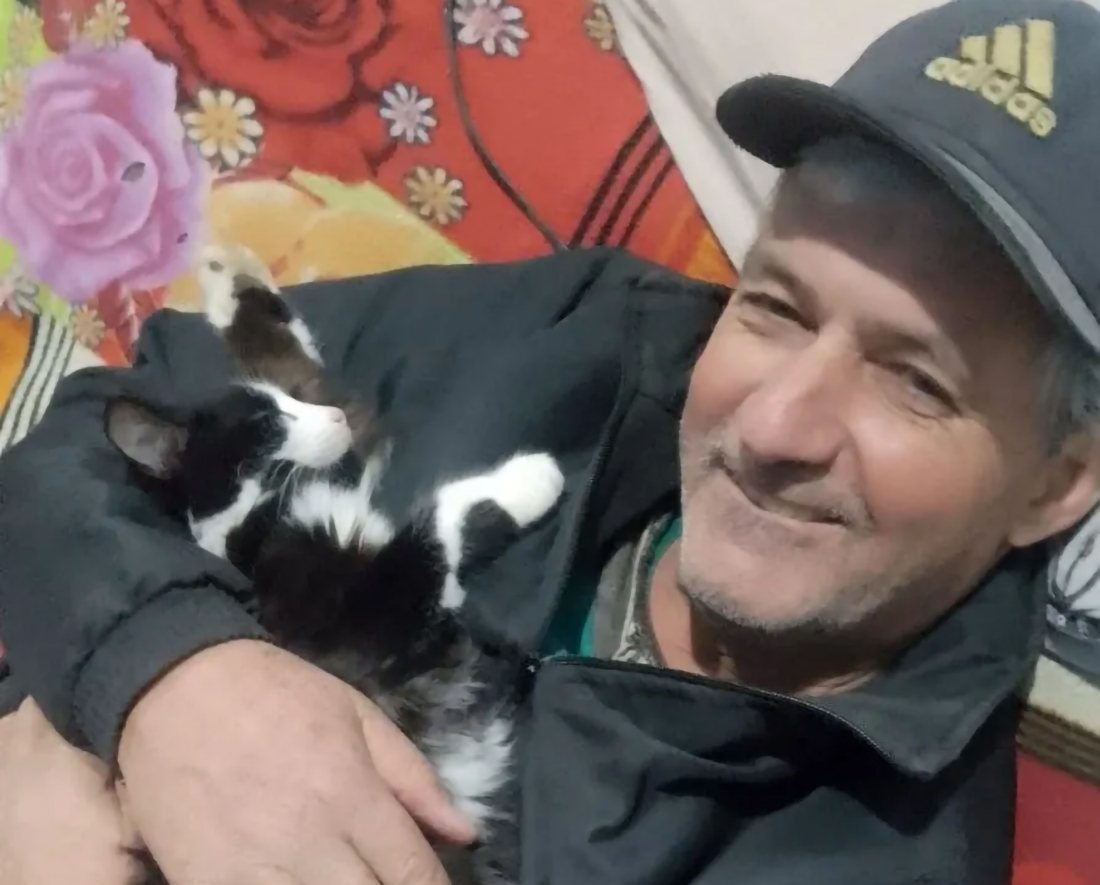 Capa Agricultor morre esmagado por árvore enquanto cortava lenha no RS