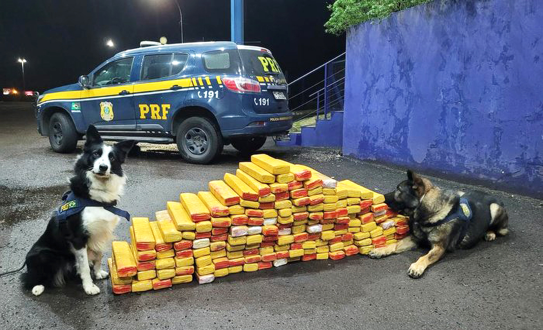 Capa Mais da metade das apreensões de drogas do RS em julho foram nas regiões Norte e Noroeste