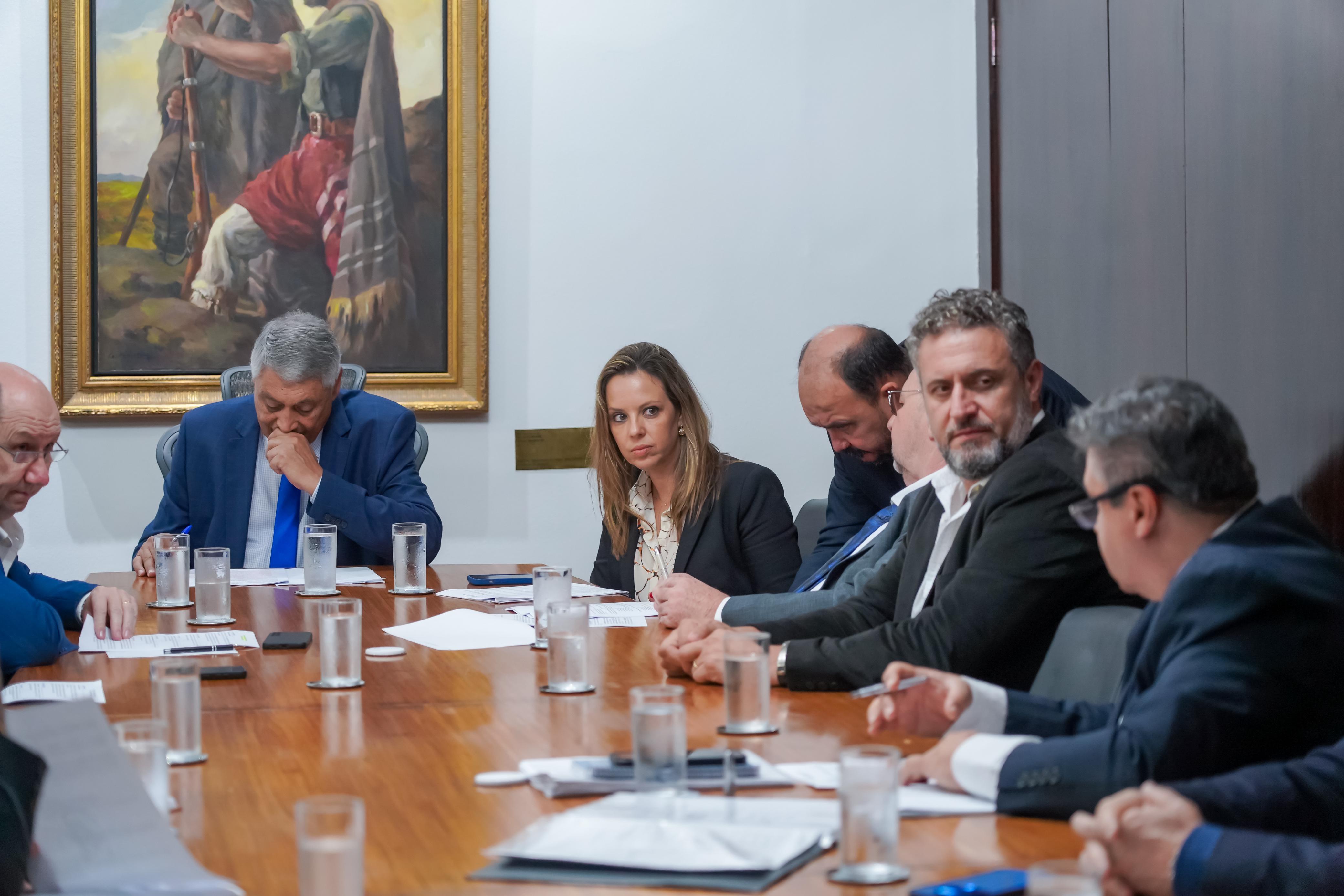 Capa Delegada Nadine lidera Grupo de Trabalho para acompanhar enchentes no RS