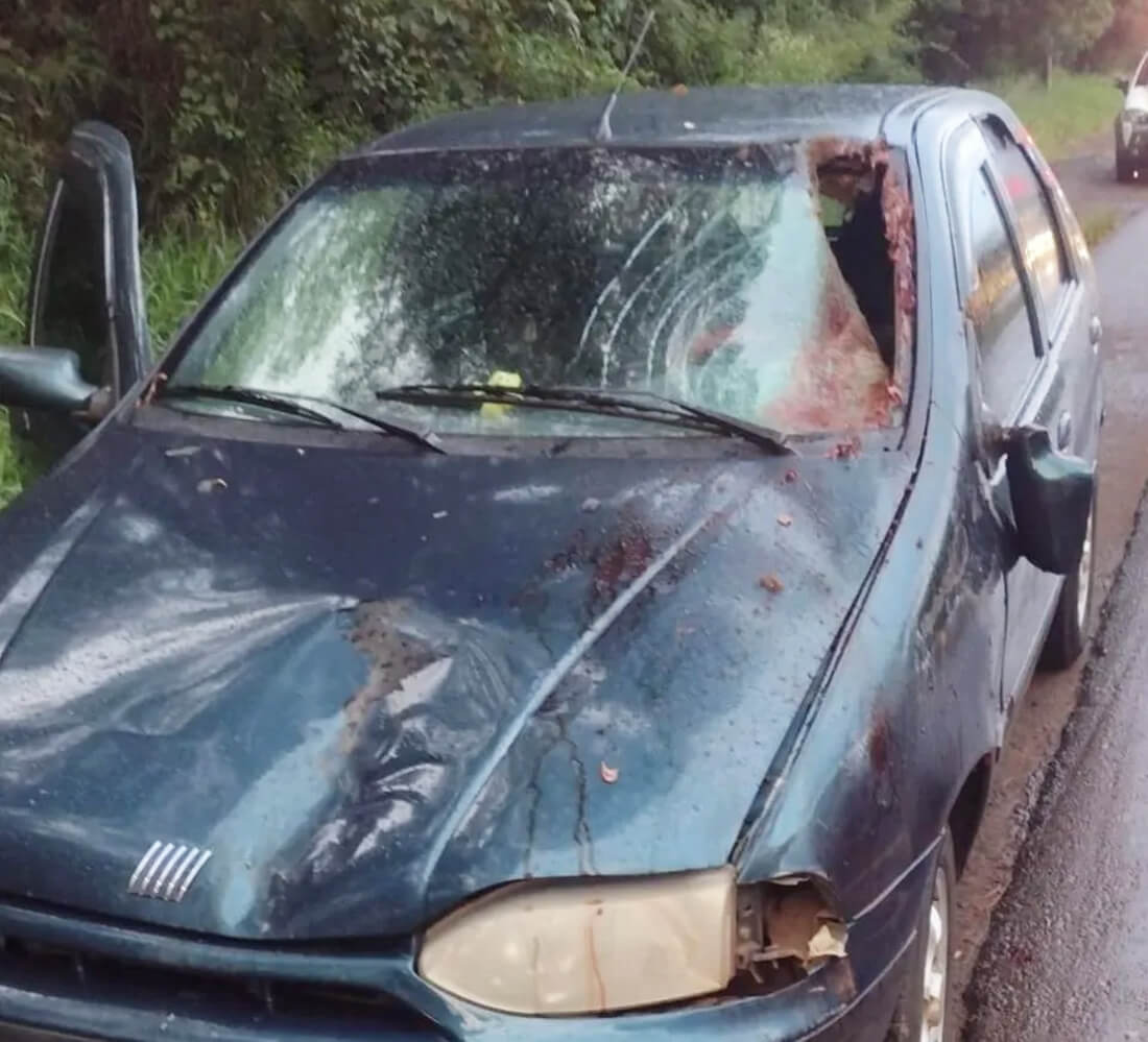 Capa Cavalo morre atropelado na ERS-155 em Ijuí