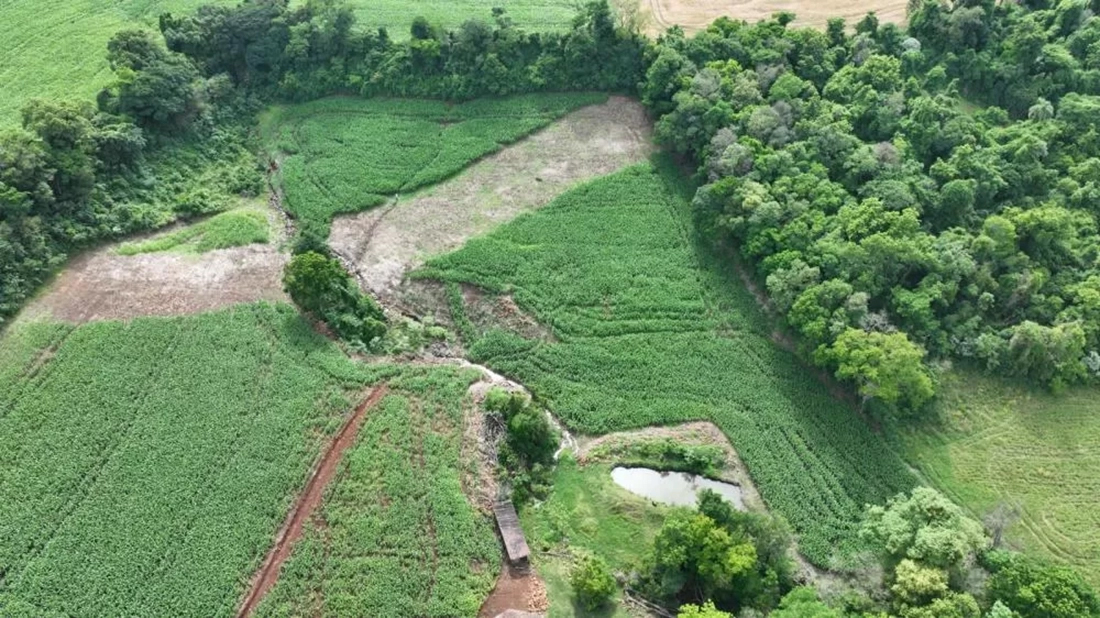 Capa Brigada Ambiental flagra destruição de vegetação nativa em Área de Preservação Permanente em Liberato Salzano