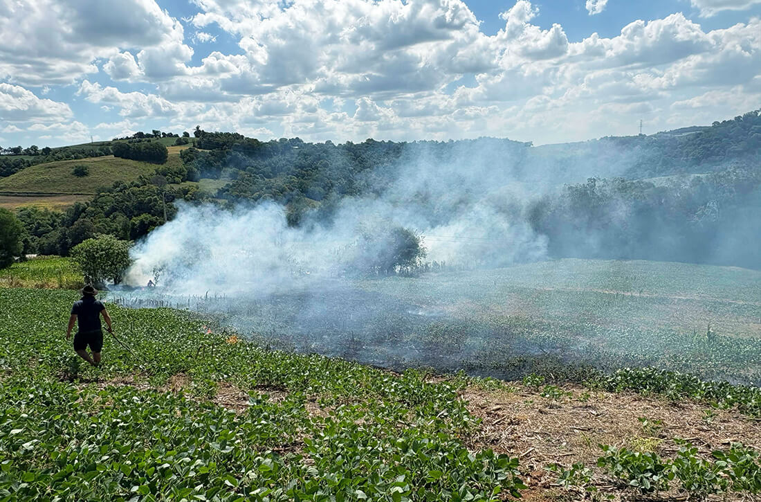 Capa Incêndio atinge lavoura de soja em Erval Seco e mobiliza autoridades