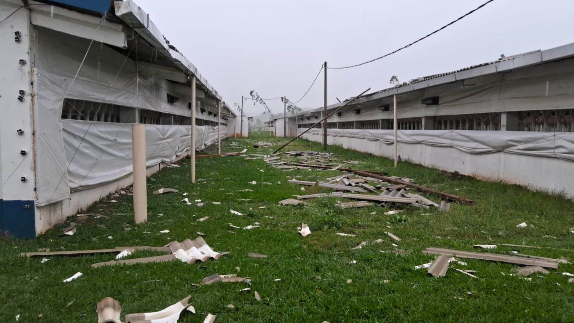 Capa Temporal deixa rastro de destruição no Oeste de SC e causa morte em Palmitos
