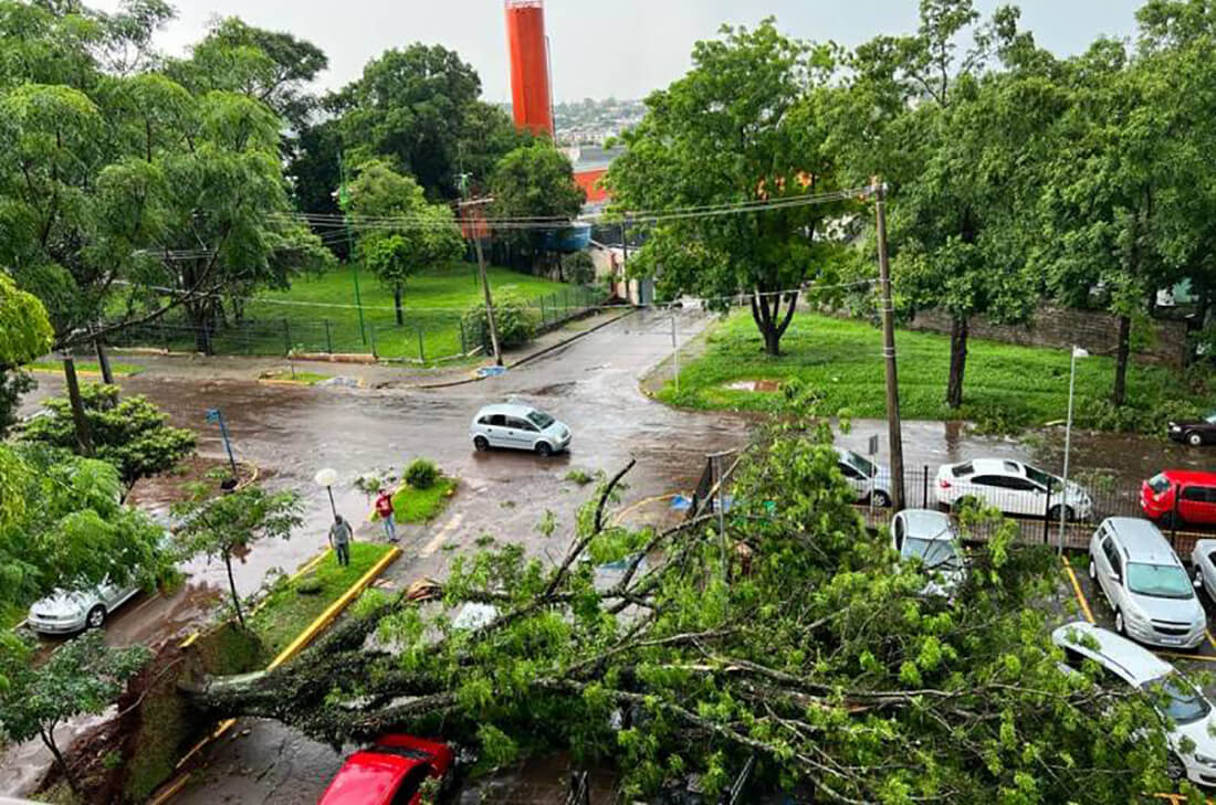 Capa Vendaval deixa pelo menos 150 casas destelhadas em Santo Ângelo