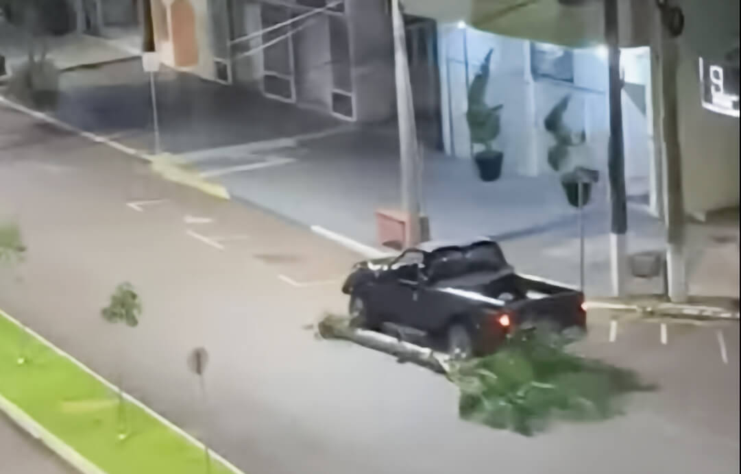 Capa Caminhonete colide com palmeiras e arrasta árvore no Centro de Três Passos