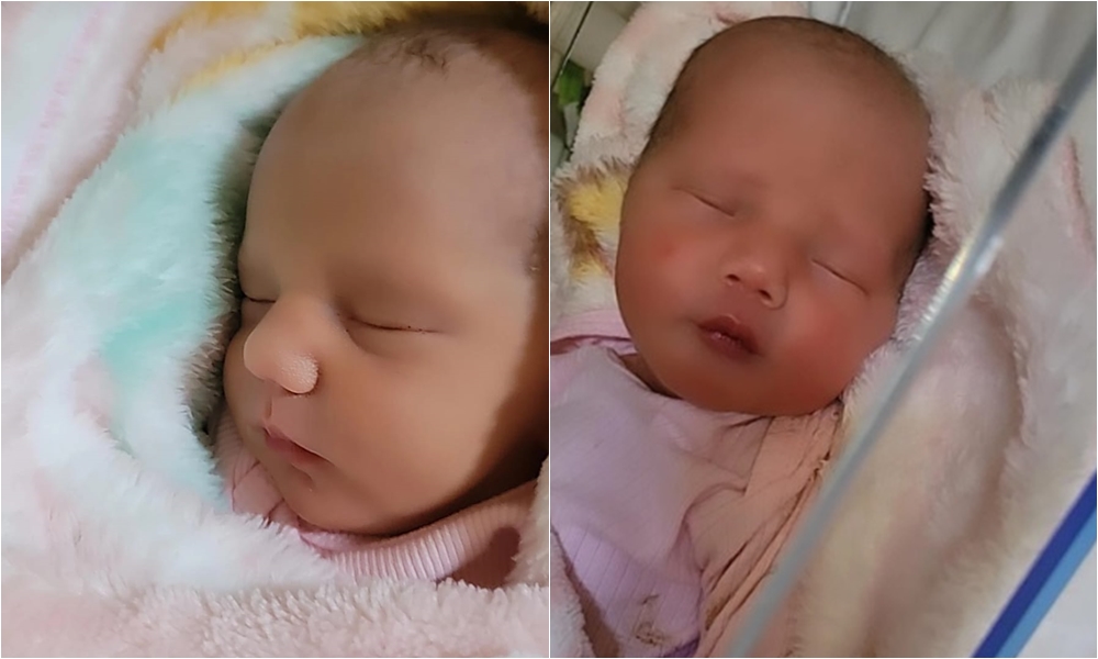 Capa Após drama por falta de UTI Neonatal, gêmeas nascem em Passo Fundo