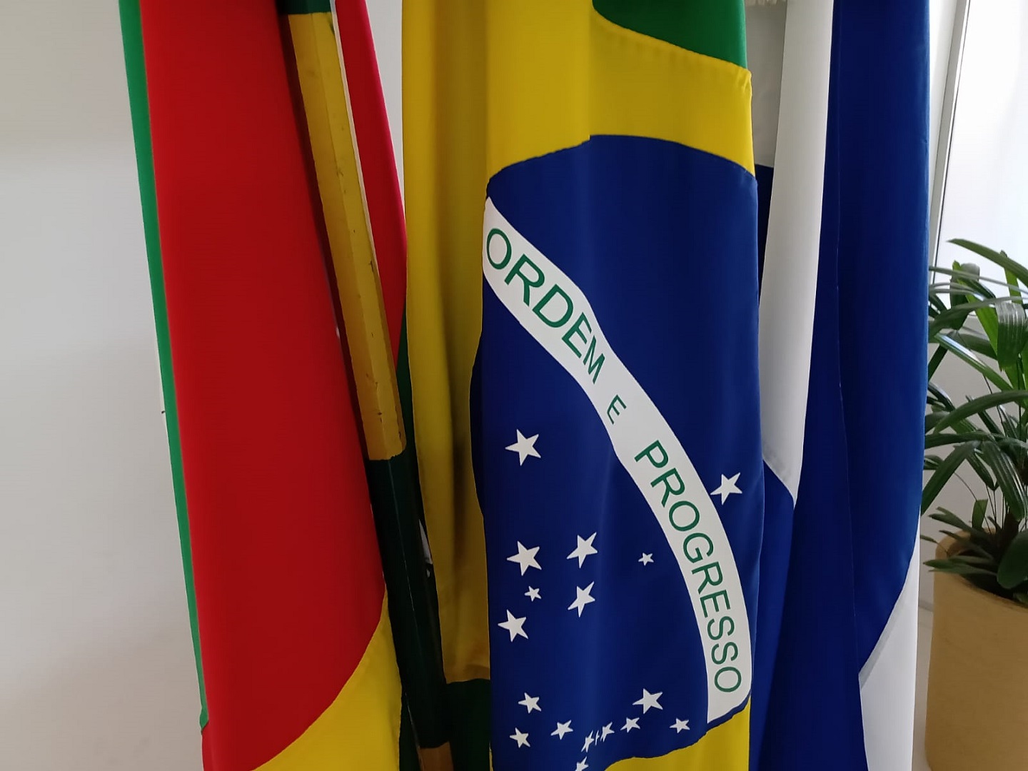 Capa Palmitinho: Semana da Patría inicia em 1º de setembro