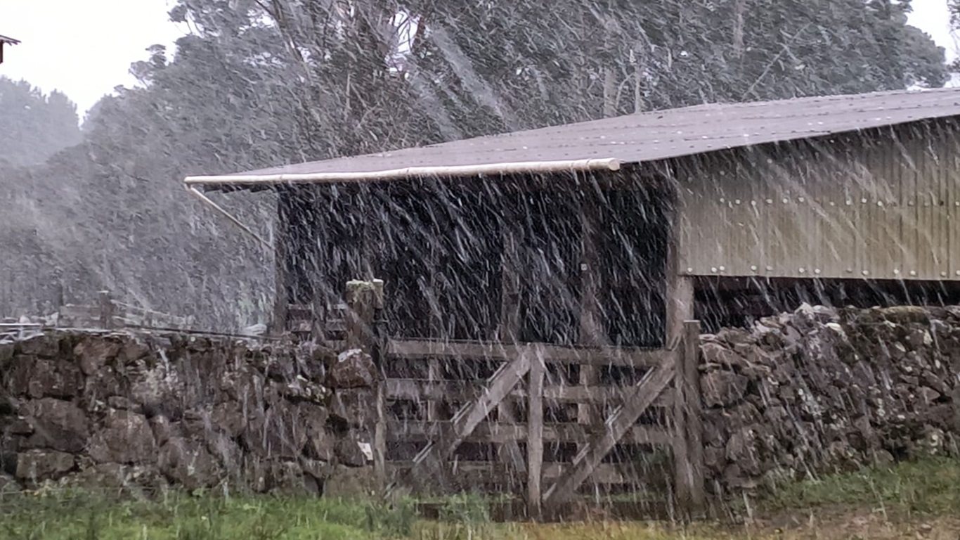 Capa Rio Grande do Sul registra primeira neve do ano nesta quinta-feira