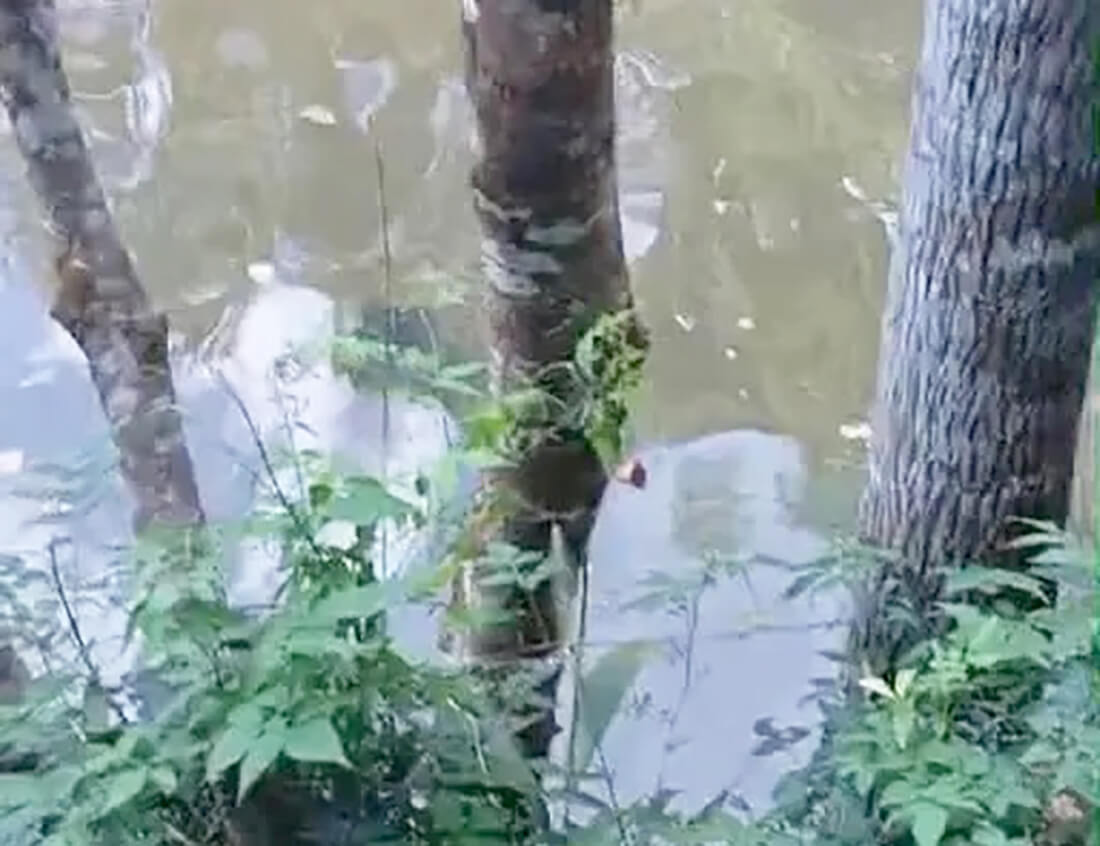Capa Mulher é encontrada morta no Rio Mel, em Ametista do Sul
