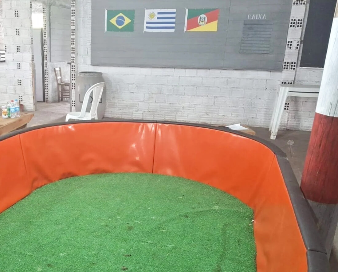 Capa Brigada Militar prende 41 pessoas por maus-tratos e prática de rinha de galos em Caçapava do Sul