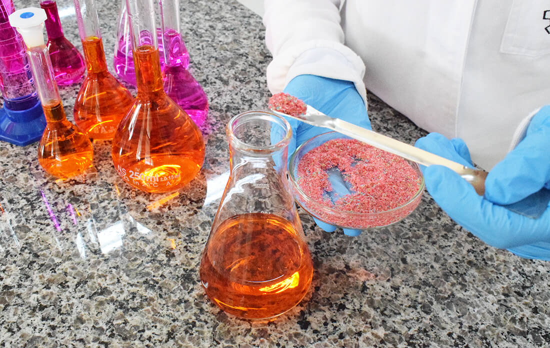 Capa Pint of Science coloca Frederico Westphalen na rota mundial da ciência