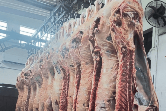 Capa Abatedouro e agroindústria são interditados em Panambi
