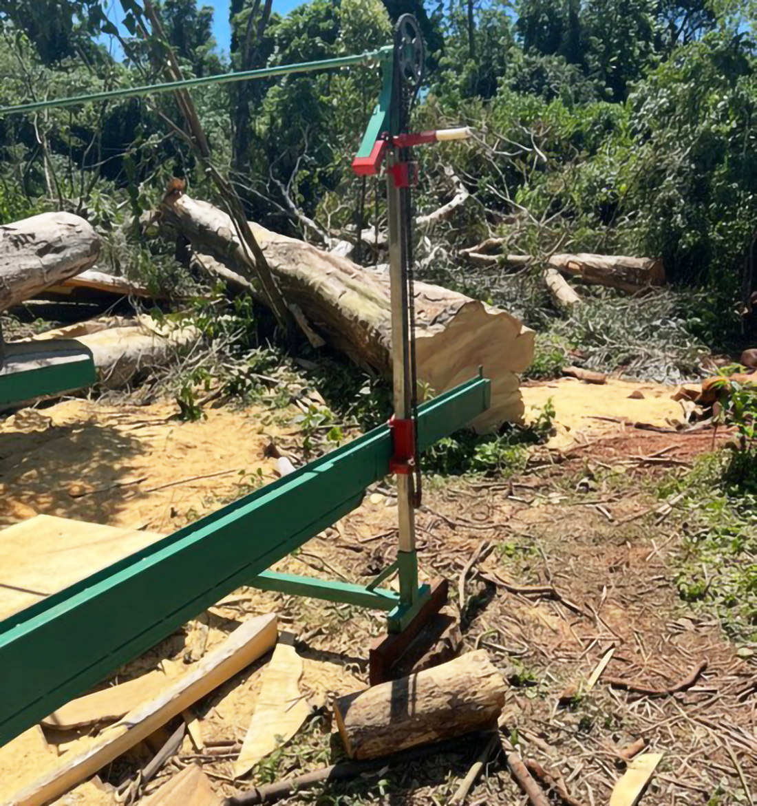Capa Polícia prende homem em flagrante por crime ambiental em Terra Indígena no RS