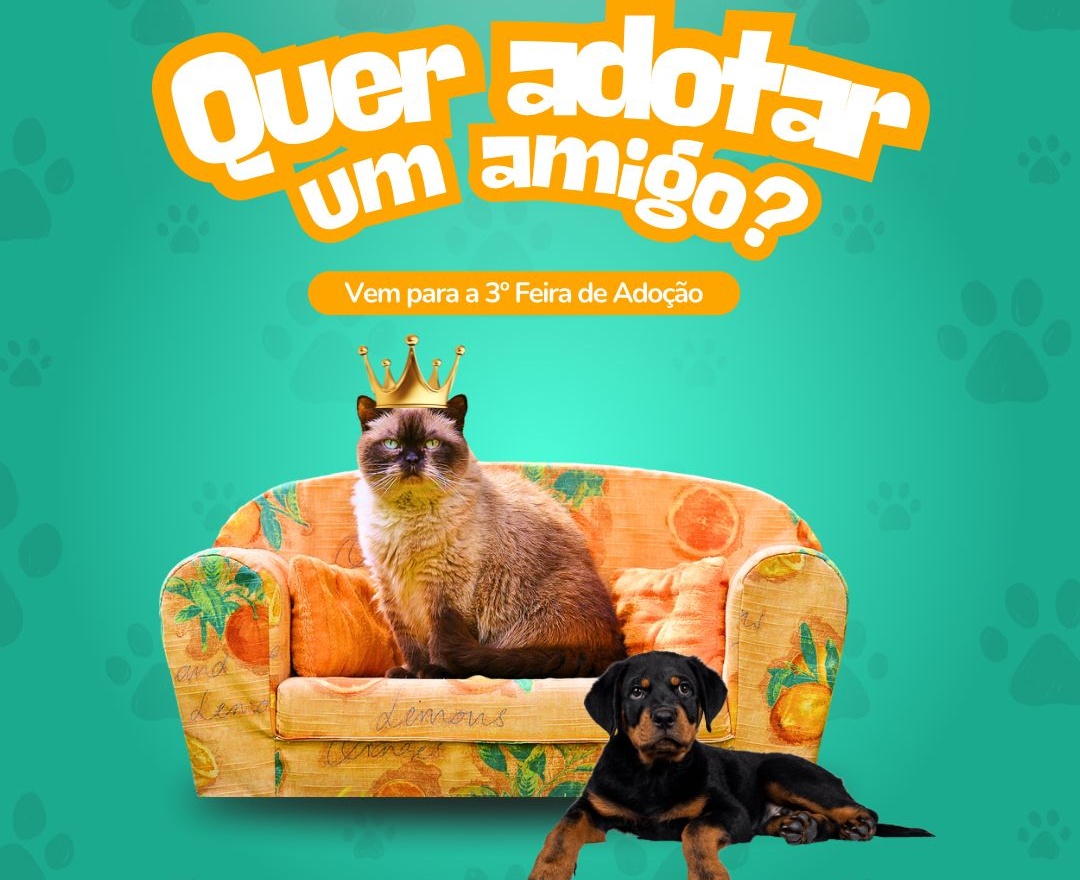Capa Terceira Feira de Adoção de Pets ocorre neste domingo em Palmeira das Missões
