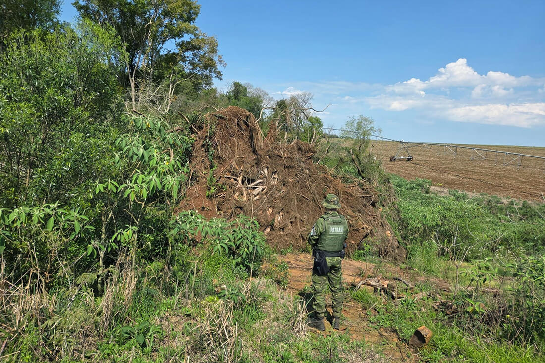 Capa Polícia flagra mais de 83 mil m² de desmatamento na região