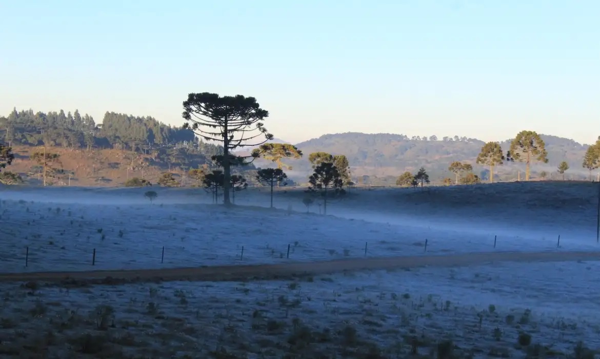 Capa Massa de ar frio provoca queda de temperatura e geada no Sul do país