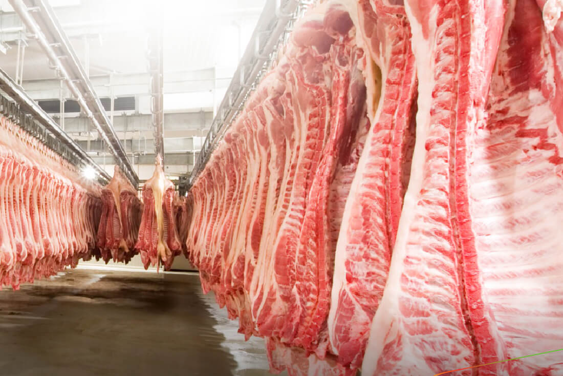 Capa Exportações de carne suína brasileira atingem recorde histórico de 1,5 milhão de toneladas em 2025