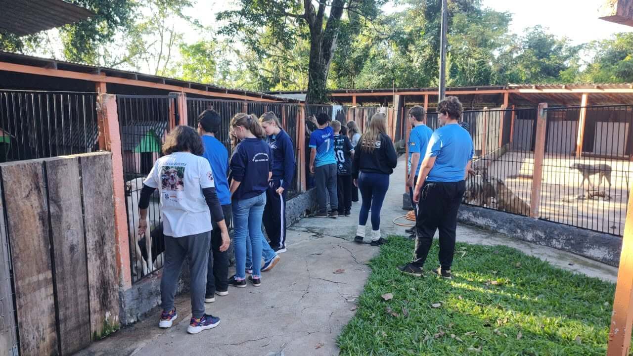 Capa Rede municipal de ensino de Três Passos promove ações de conscientização sobre bem-estar animal