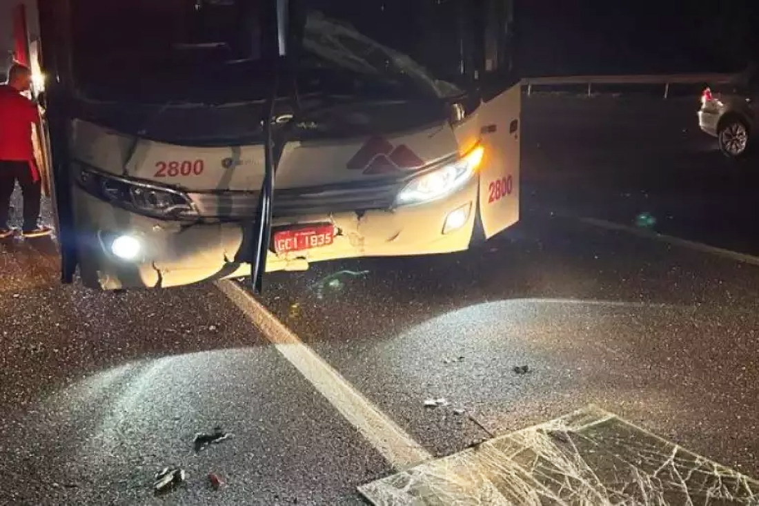 Capa Ônibus do Brasil de Pelotas se envolve em acidente em São Paulo