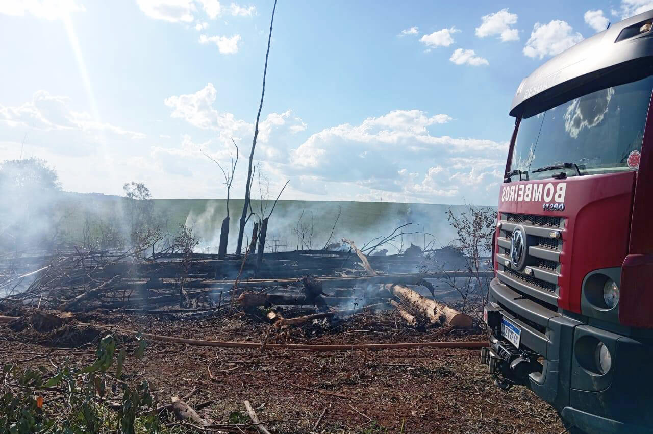 Capa Incêndio de grandes proporções atinge mata de eucaliptos em Miraguaí