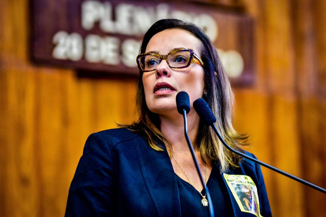 Capa Candidata ao Governo Juliana Brizola participa de encontro neste sábado em Frederico Westphalen