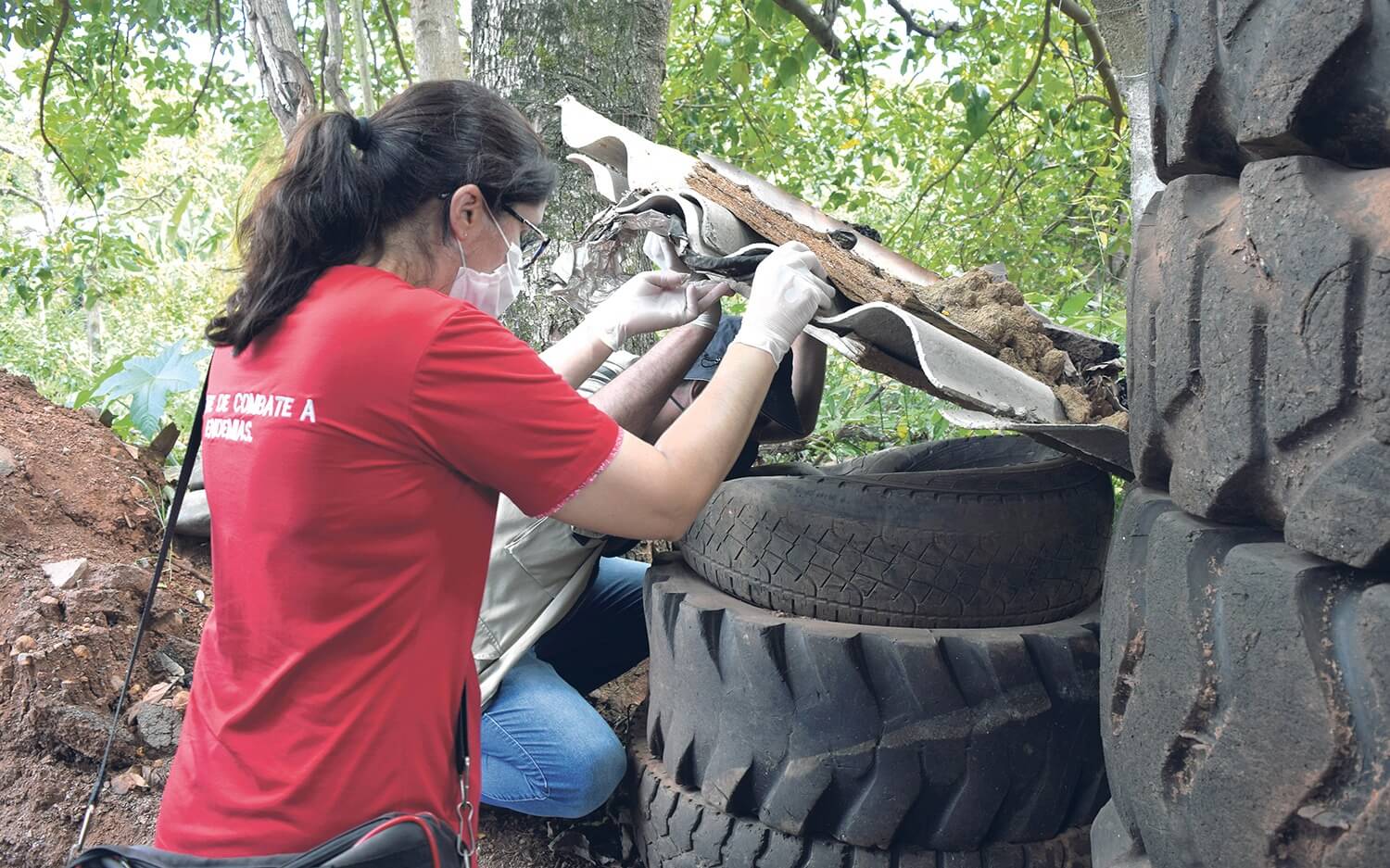 Capa Último LIRAa de 2024 indica risco médio de infestação pelo Aedes aegypti em Novo Tiradentes