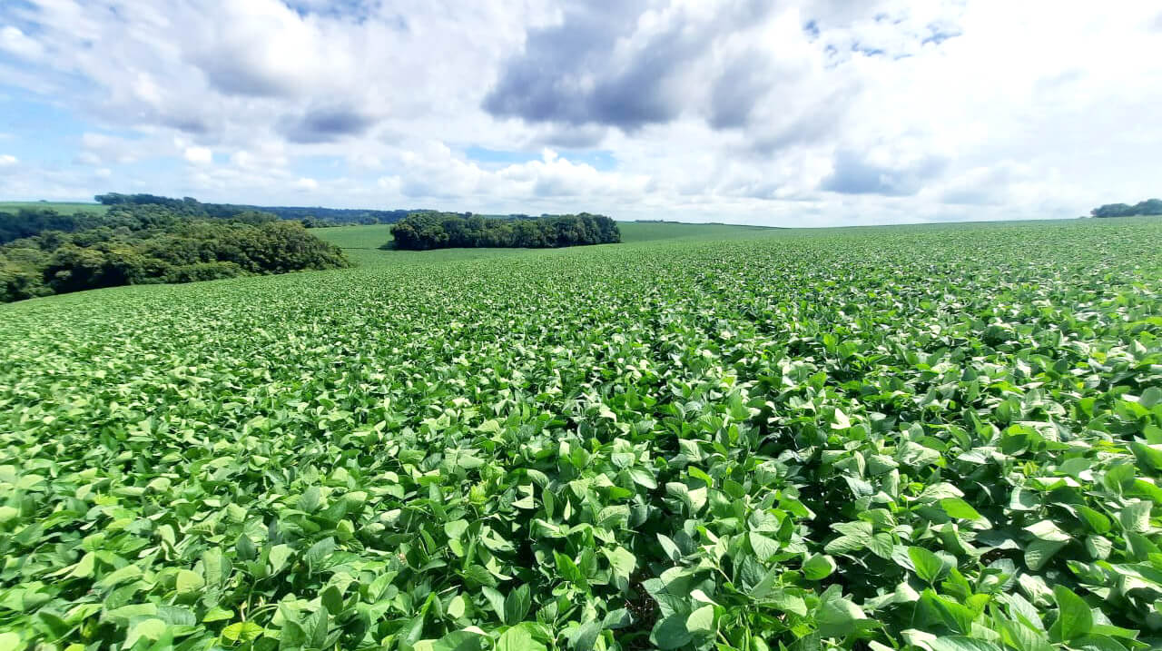 Capa Verão inicia com redução de chuvas e sem influência do La Niña