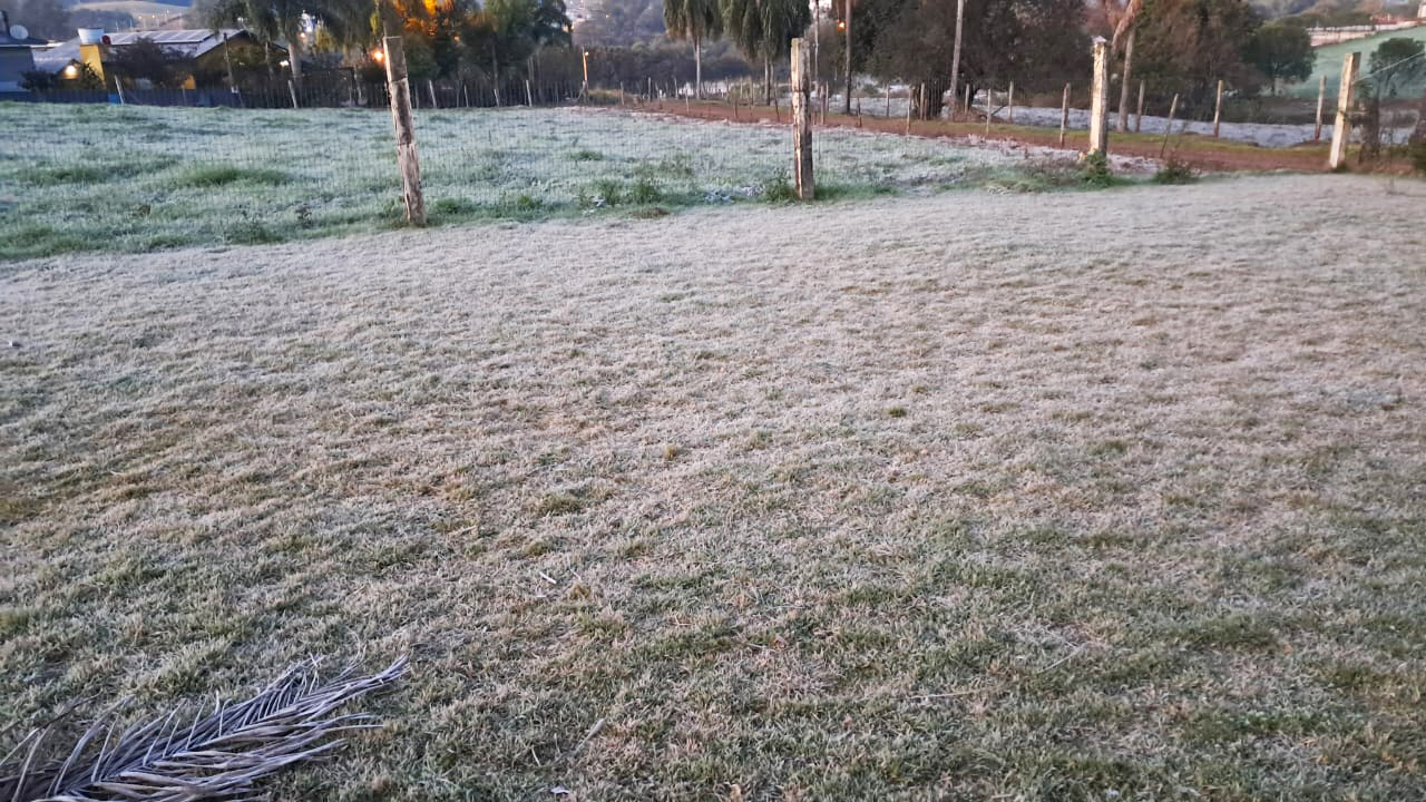 Capa Rio Grande do Sul registra menor temperatura do ano nesta quinta-feira com marcas negativas em várias regiões