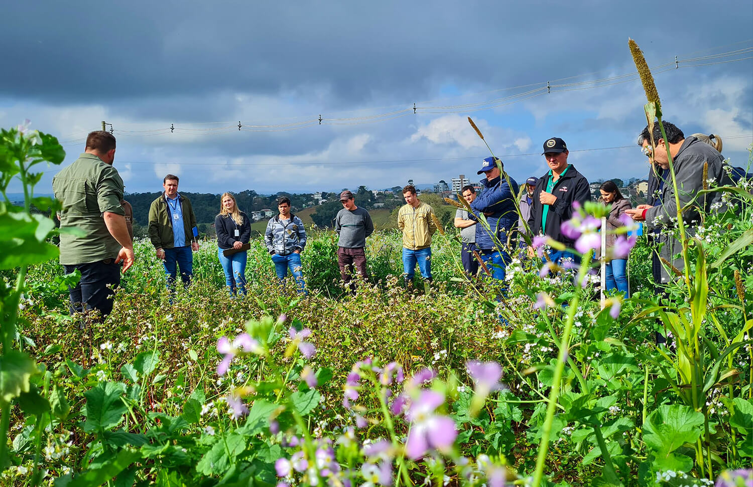 Capa Agricultores de Rodeio Bonito se reúnem para uma atividade técnica sobre plantas de cobertura