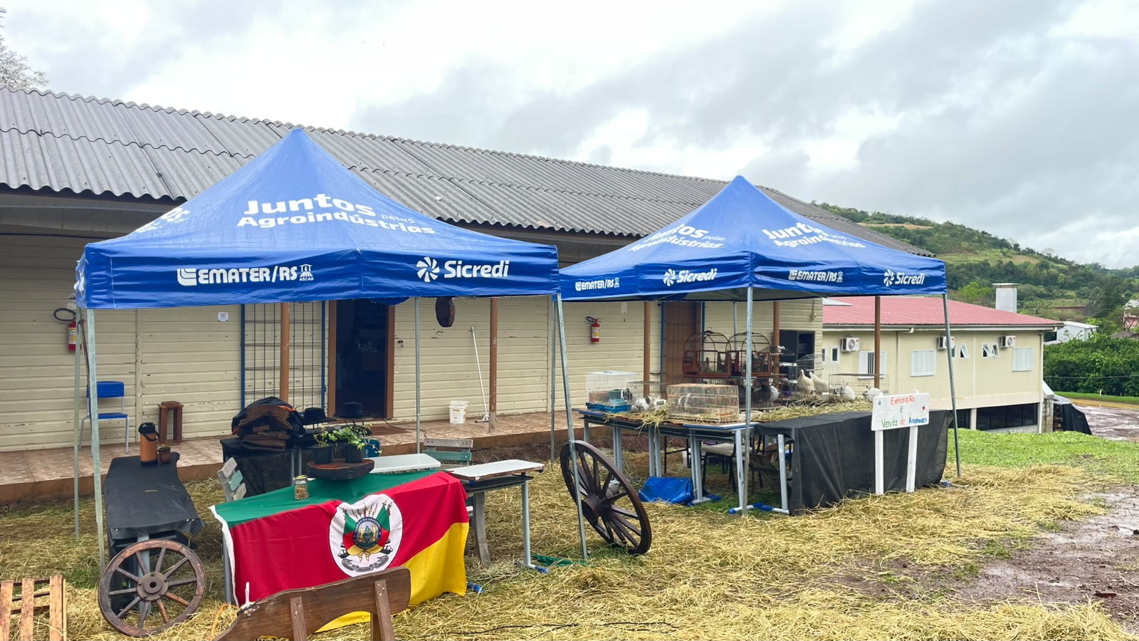 Capa Sicredi Conexão fortalece iniciativas voltadas a agricultura familiar no Rio Grande do Sul